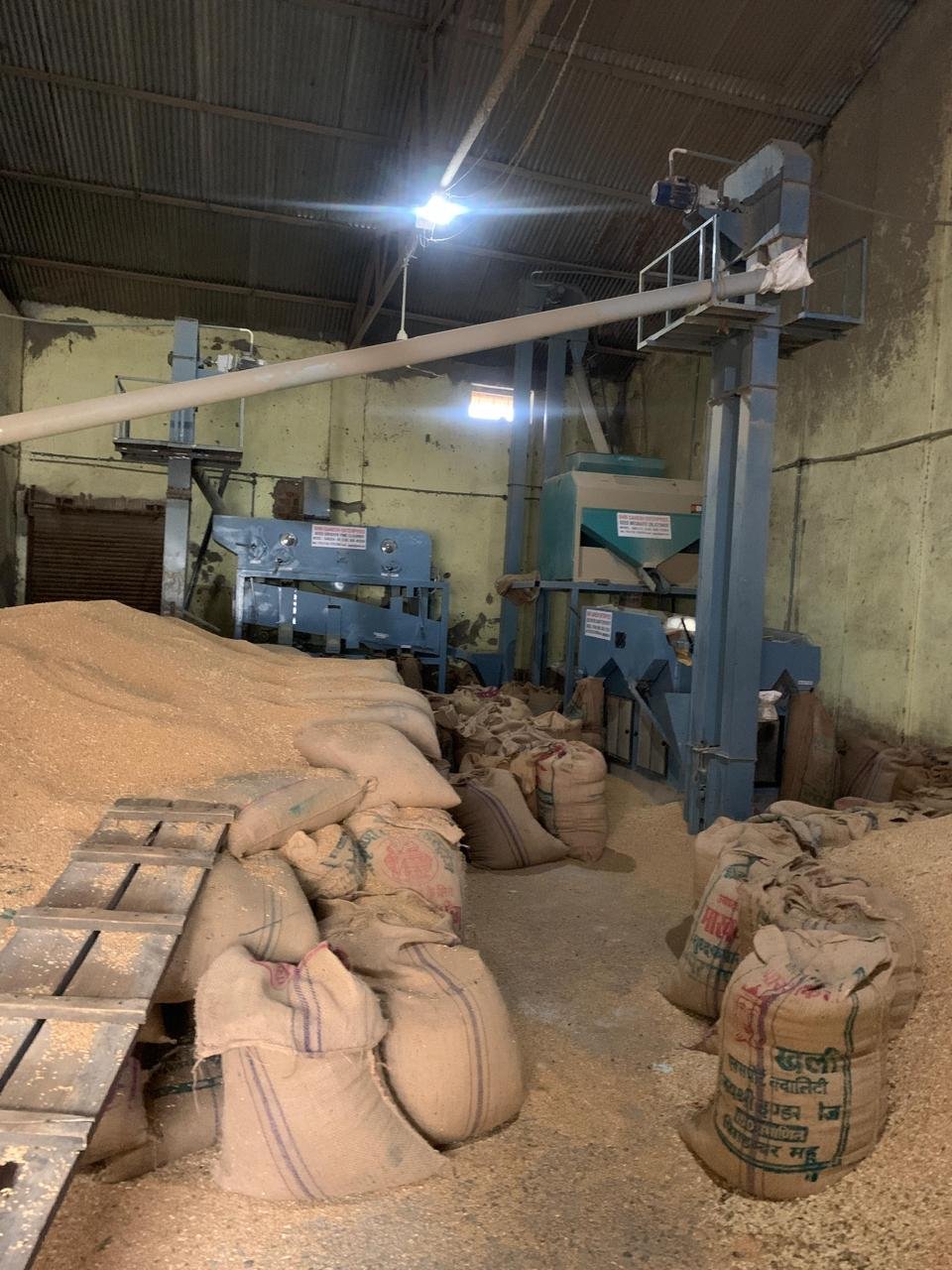 Seed processing installation